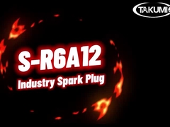 Сканирование A12