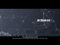 Фабрика тюленей